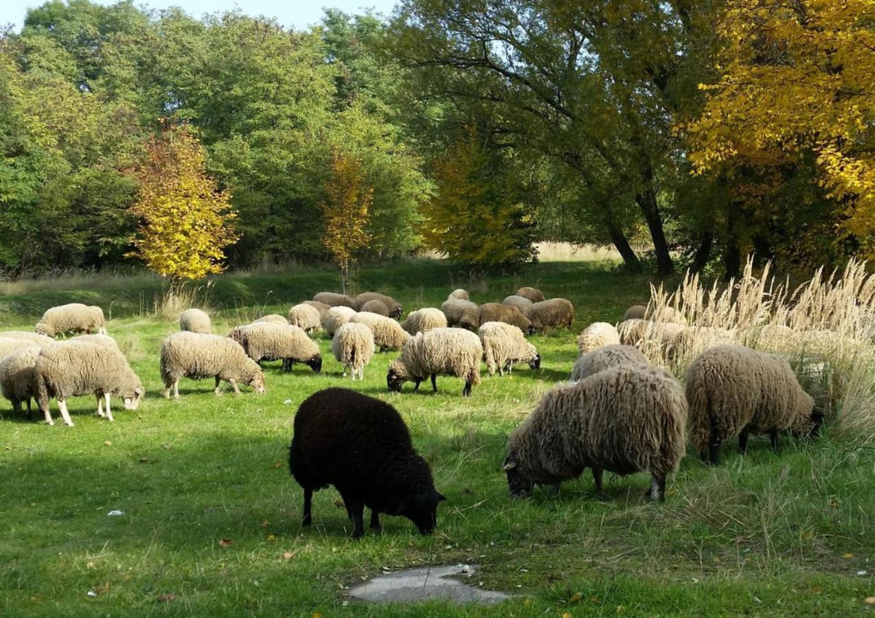 Gut Am See Gorlitz Luaran gambar